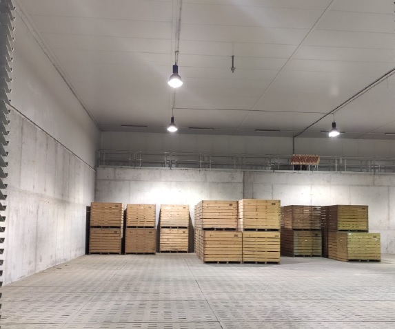 Magazyn chłodnia Bardo Carota, Wrocław, na wynajem
