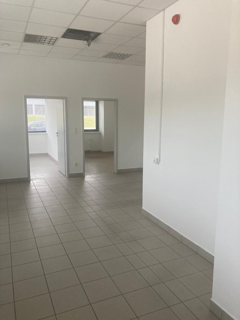 Magazyn na wynajem w SEGRO Logistics Park Gliwice, Gliwice, na wynajem