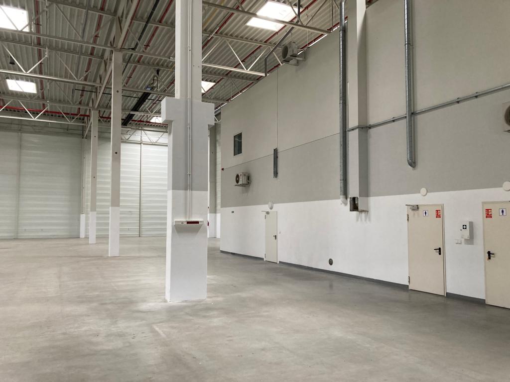 Magazyn na wynajem w SEGRO Logistics Park Gliwice, Gliwice, na wynajem