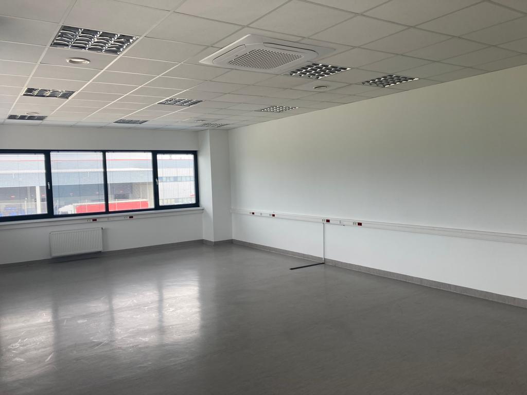 Magazyn na wynajem w SEGRO Logistics Park Gliwice, Gliwice, na wynajem
