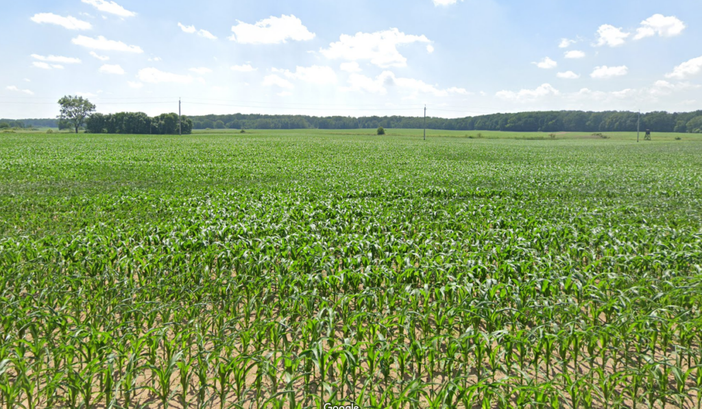 Teren inwestycyjny w okolicy Poznania - 10,7 ha, powiat szamotulski, na sprzedaż