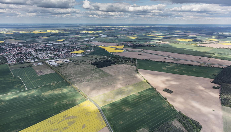 Wynajem powierzchni magazynowej w Panattoni Park Świebodzin I, Świebodzin, na wynajem